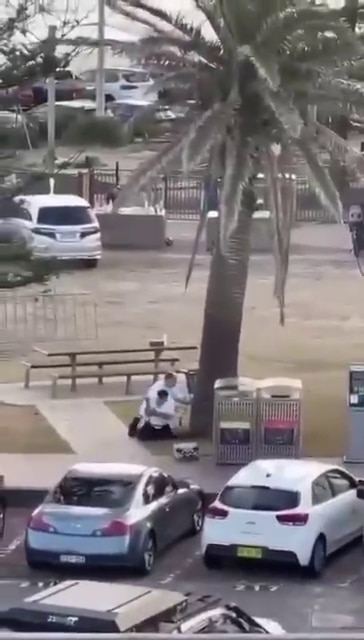 Os dois homens estão agachados atrás de uma árvore.