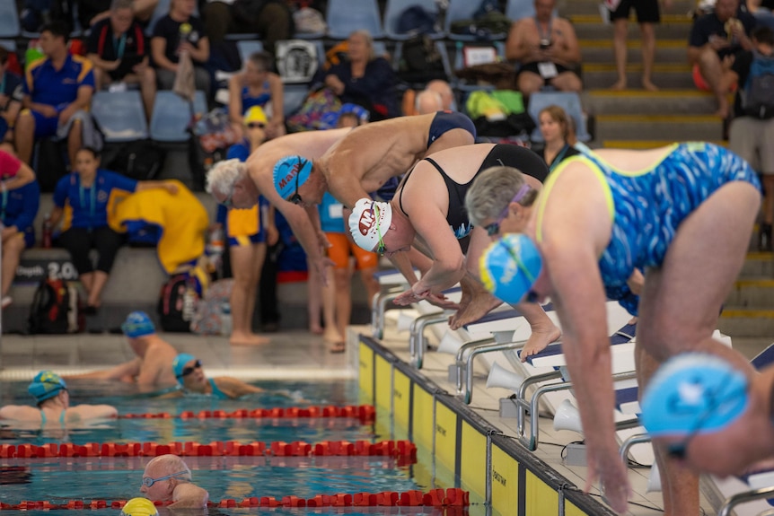 A group of older swimmers lines up on diving blocks about to dive into a pool.