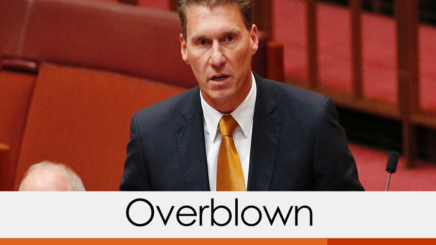 Senator Cory Bernardi speaks in the Senate