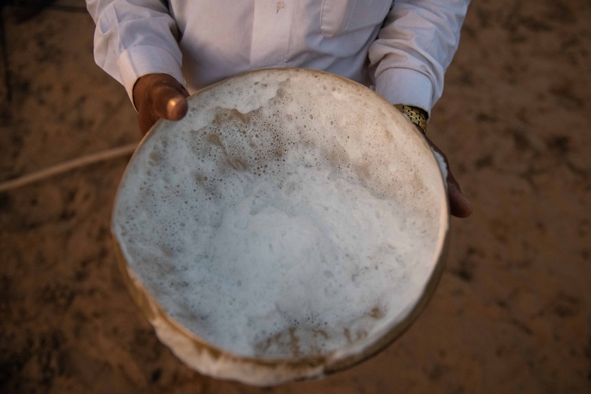 The frothy camel milk covers the bottom of the bowl.