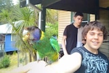 A teenage boy smiles and holds his arm out for a parrot to perch on, his older brother stands in the background.