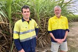 A father and son stand next to each other in a sugar cane field disappointed. Both are wearing bright high vis shirts.