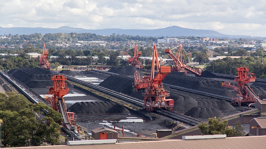 Massive orange coal loaders run on tracks beside piles of coal.