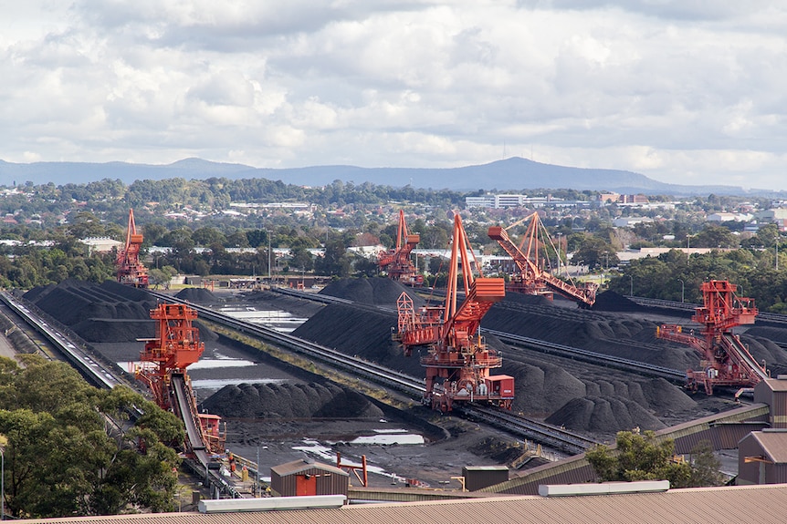 Massive orange coal loaders run on tracks beside piles of coal.