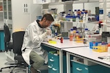 Associate Professor Alexander Larcombe in the lab
