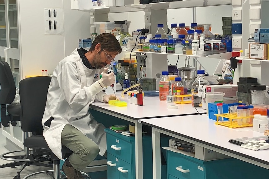 Associate Professor Alexander Larcombe in the lab