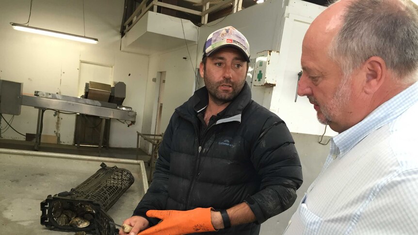 Neil Stump from Oysters Tasmania and grower Josh Poke