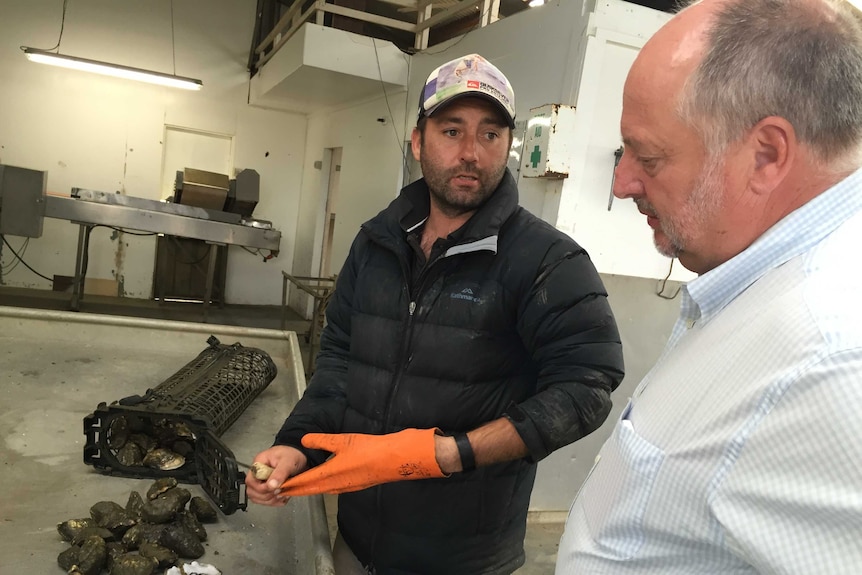 Neil Stump from Oysters Tasmania and grower Josh Poke