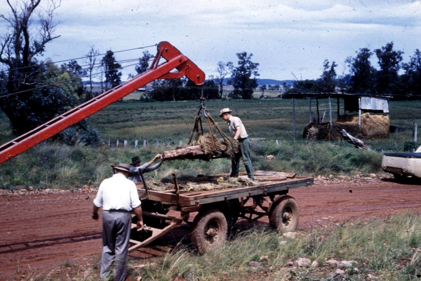 Men moving stone slab of fish fossils using a crane and trailer.