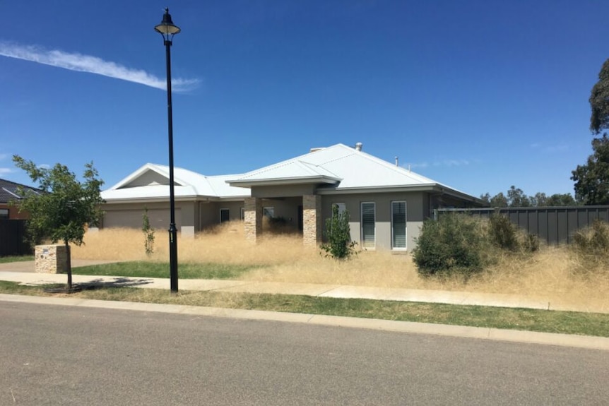 Tumbleweeds surround a house in Wangaratta