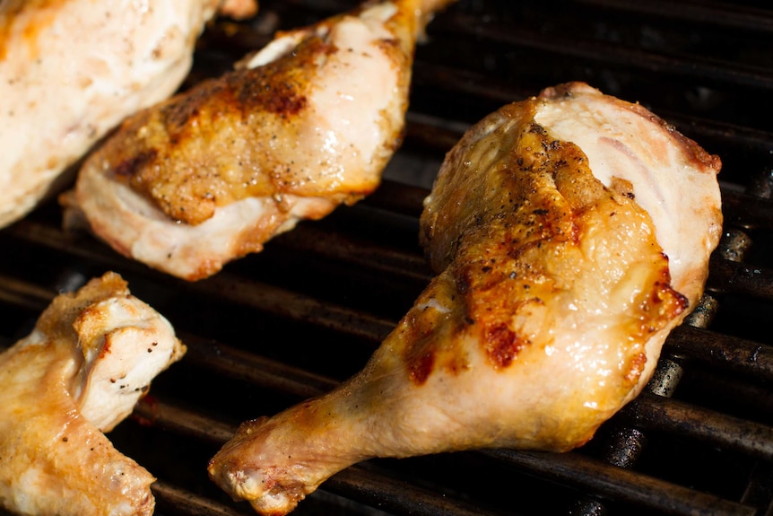Pezzi di pollo alla griglia sul barbecue.