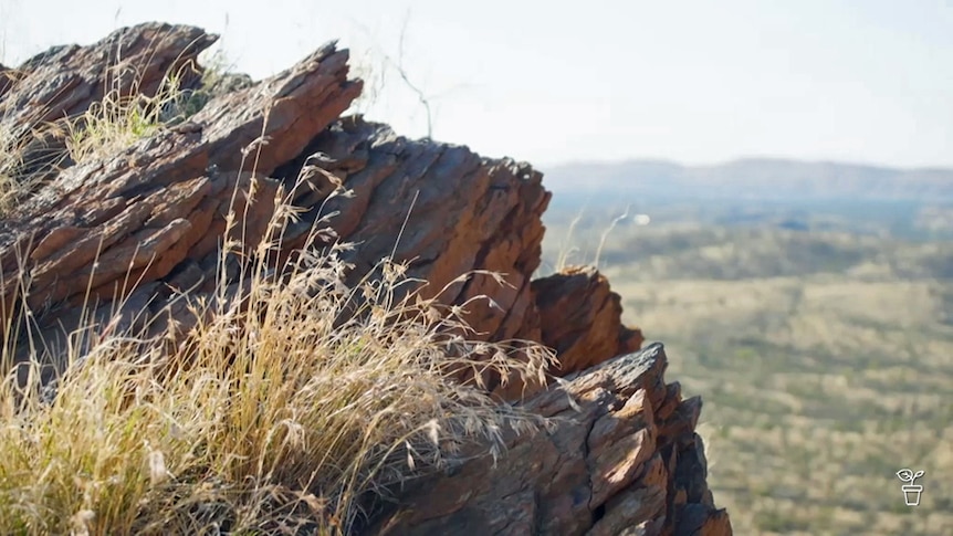 Rocks on a cliff face overlooking a gully in Northern Australia.