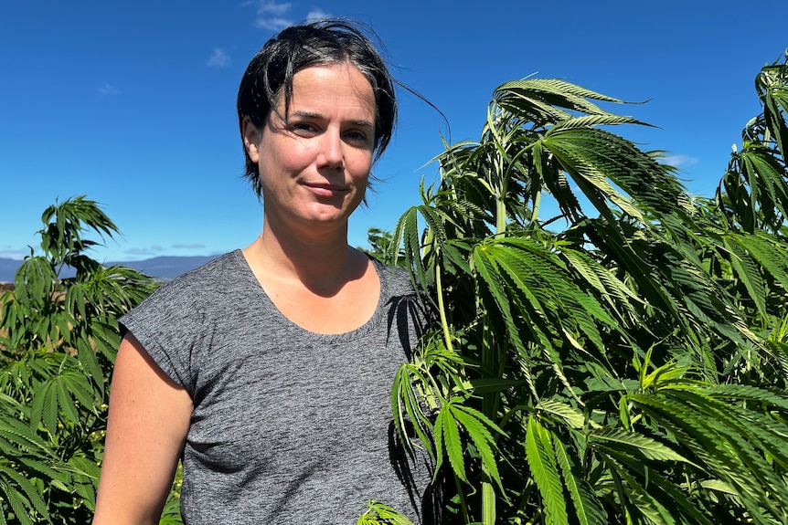 A dakr-haired woman looking into the camera standing next to a hemp plant