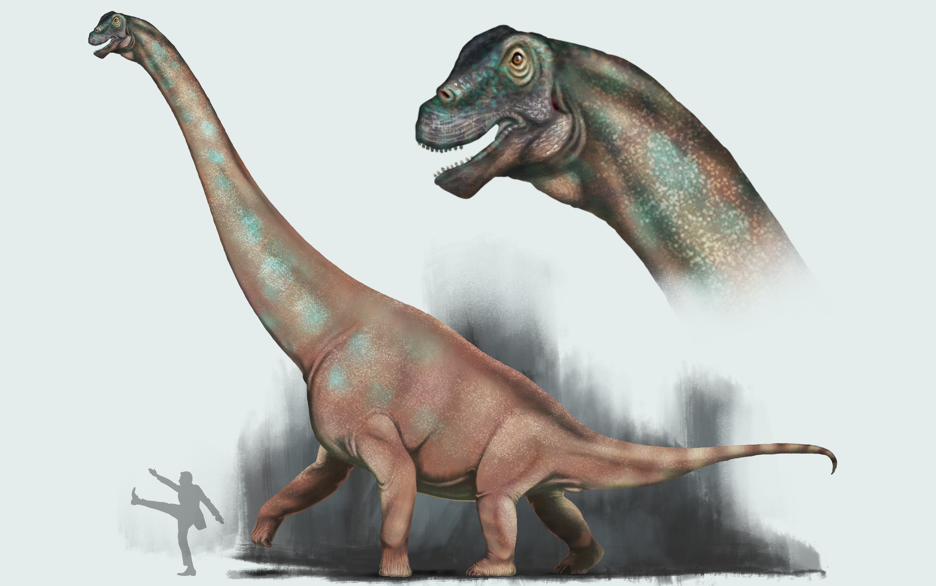 Artistic drawing of a giant dinosaur next to a human silhouette. 