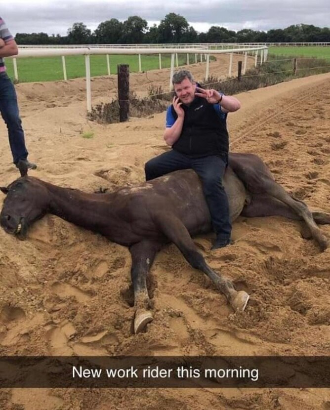 Gordon Elliott sits on a horse, that is lying on its side, on the phone, holding his left hand up in the peace sign