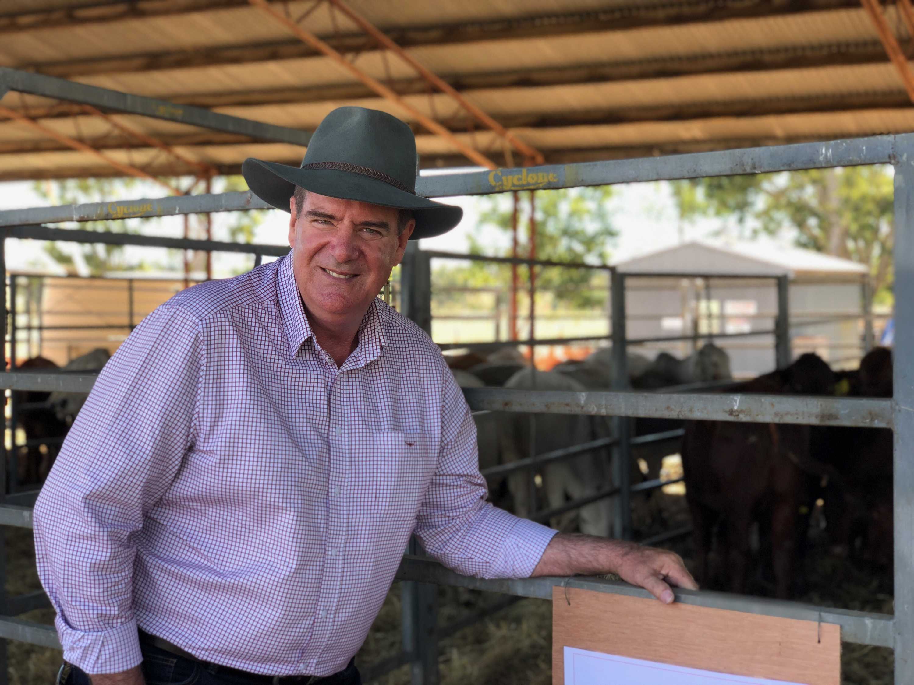 Agriculture Minister Mark Furner leans on a cattle yard