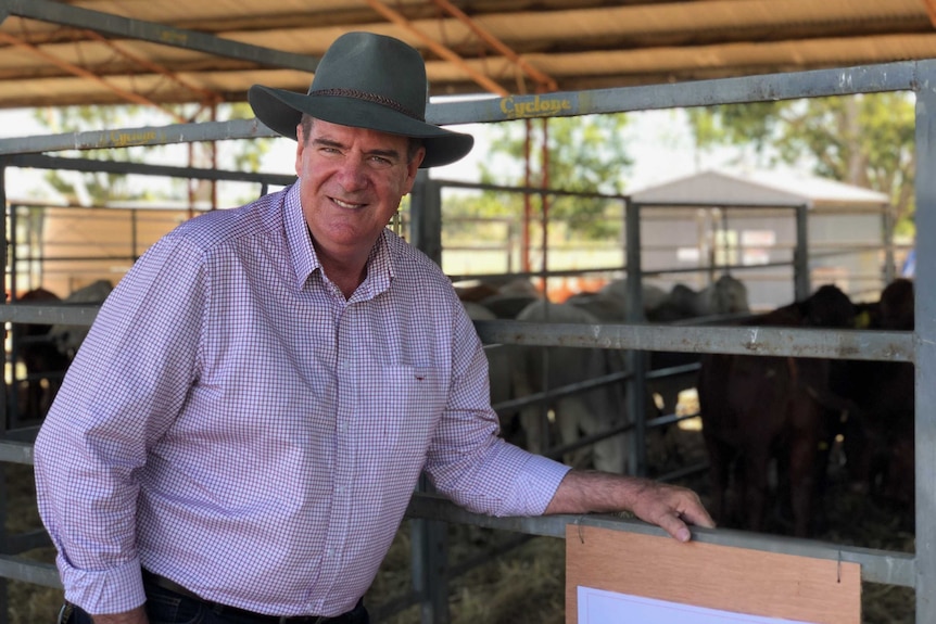 A man in a striped white and purple shirt, wears an akubra, leans on a cattle yard.