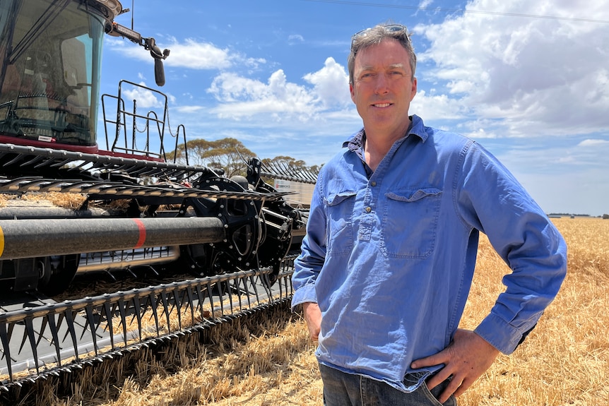 Farmer Craige Kennedy, wearing a blue collared shirt, stands with his hands on his hips in front of a header in a cereal crop