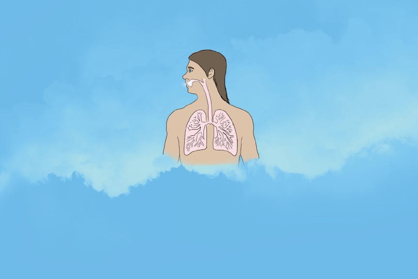 A diagram of a human torso. There is white vapour in the mouth and throat