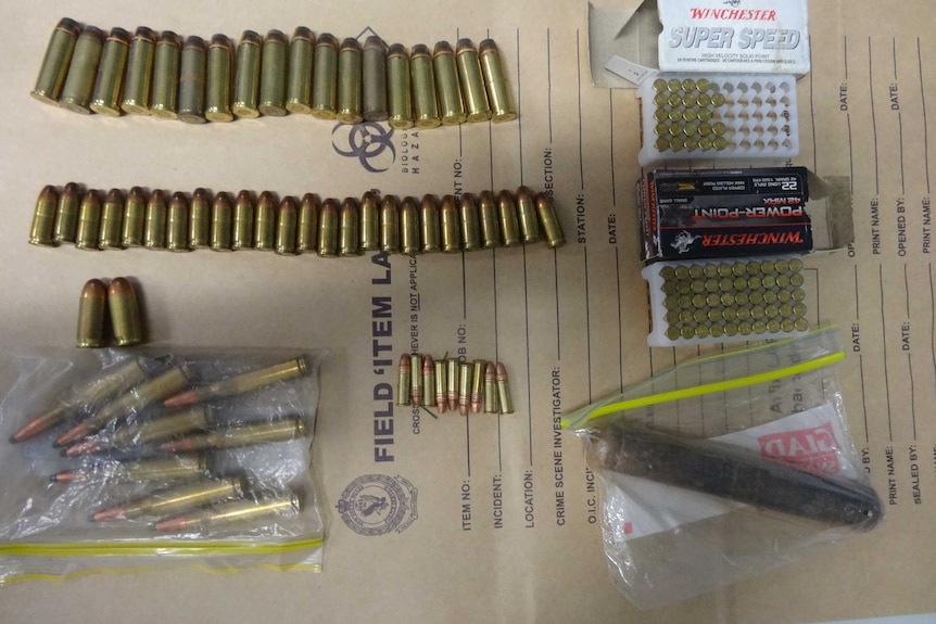 Bullets lined up in rows and in plastic bags