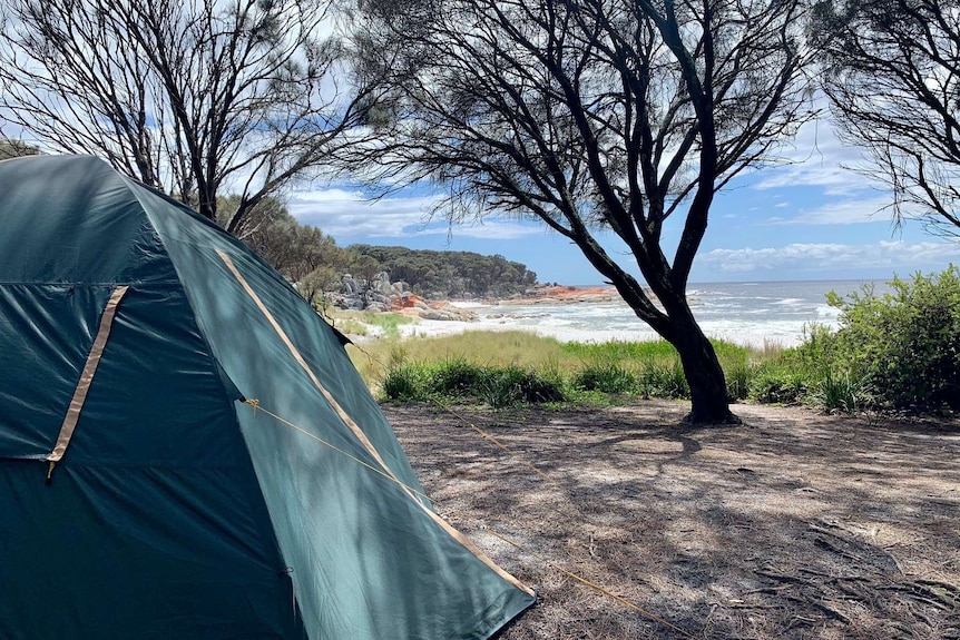 A green tent overlooks a beach.