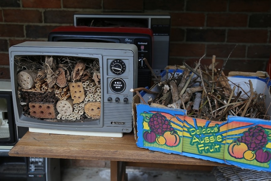 An analog television turned into a hotel for native bees
