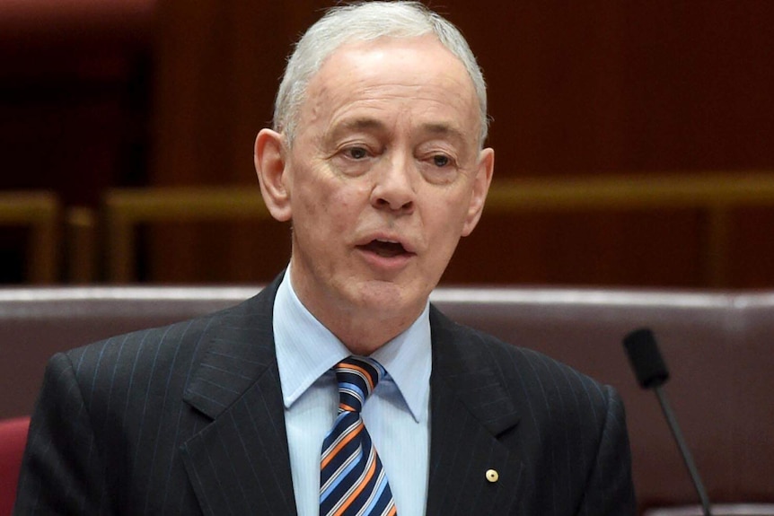 Bob Day delivers his maiden speech in the Senate chamber at Parliament House in Canberra.