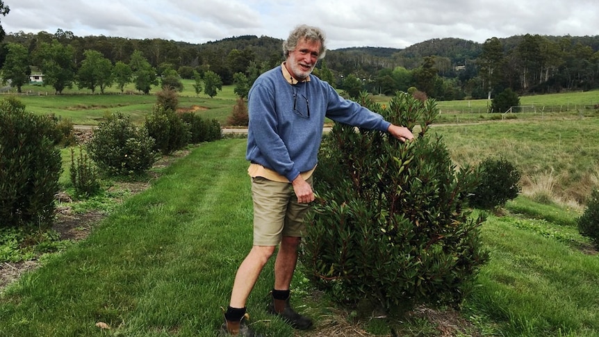 Man stands beside shrub
