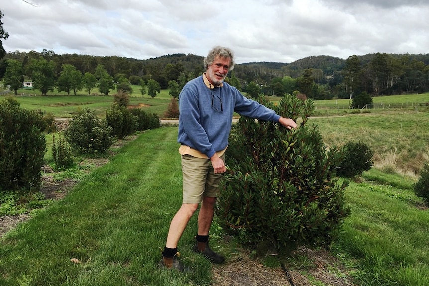 Man stands beside shrub