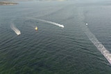 Aerial shot of boats searching