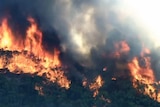 An aerial shot of a bushfire burning close to a house.