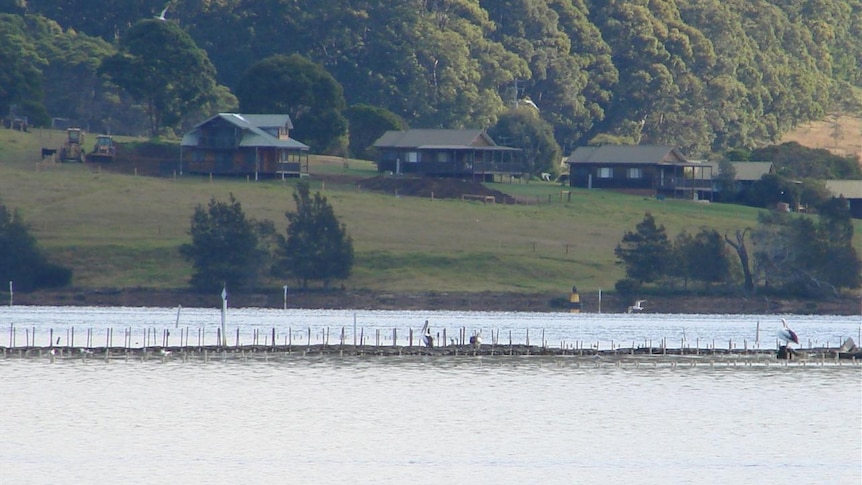 oyster lease in Narooma