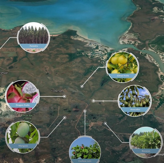 A map with sections of land highlighted according to their potential for certain crops.