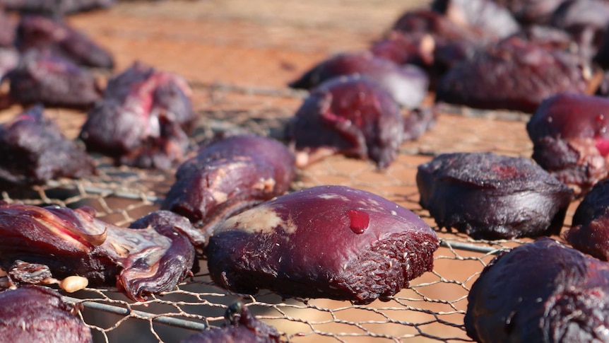 Pieces of meat lay on a wire rack to dehydrate after being injected with 1080 poison