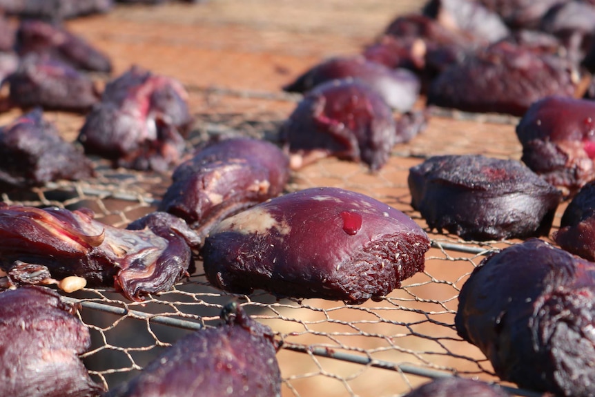 Pieces of meat lay on a wire rack to dehydrate after being injected with 1080 poison