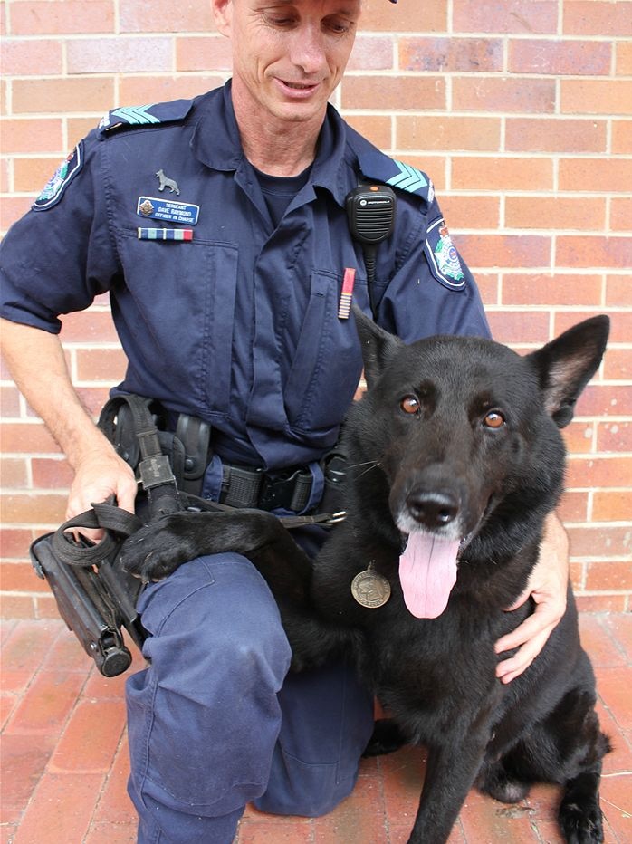 Qld police dog Vader with his handler in Cairns