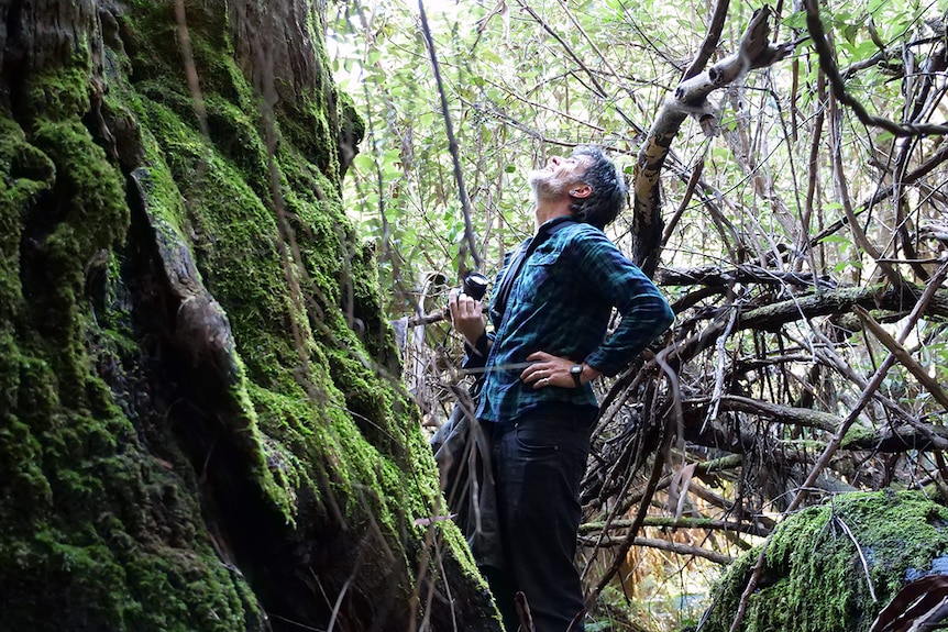 Isaac, holding a camera, is dwarfed by part of the base of a tree