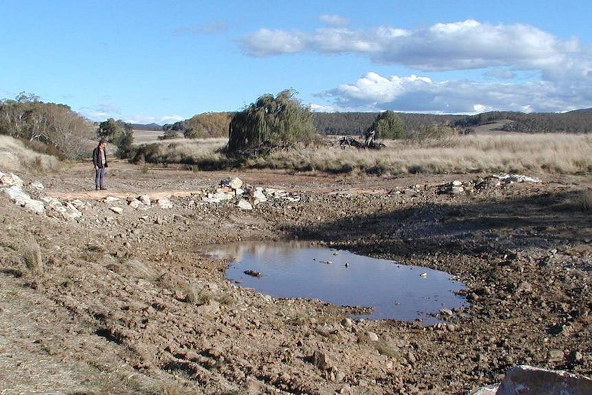 Mulloon Creek during the drought