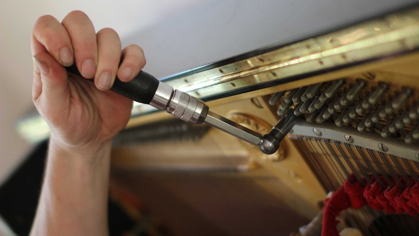 A man's hand twisting a screw to check the strings on a piano.
