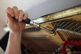 A man's hand twisting a screw to check the strings on a piano.
