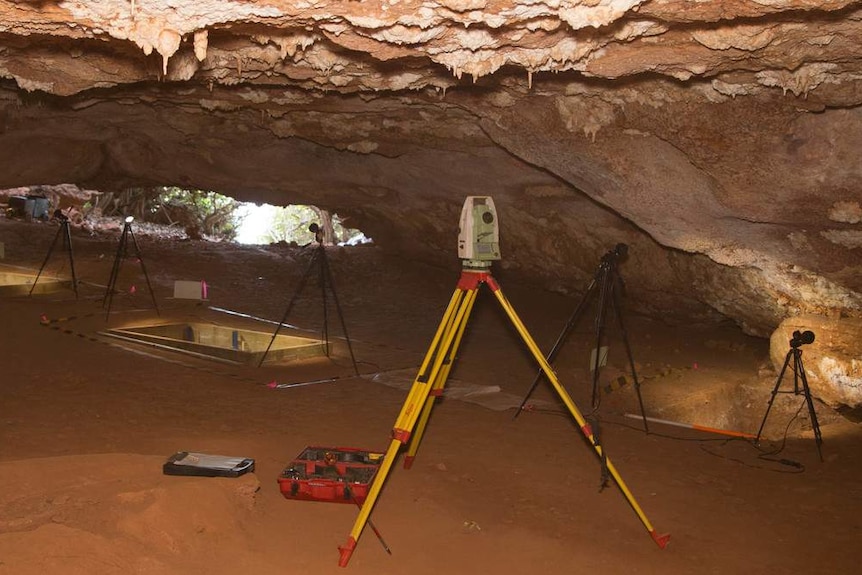 The main excavation squares within Boodie Cave.