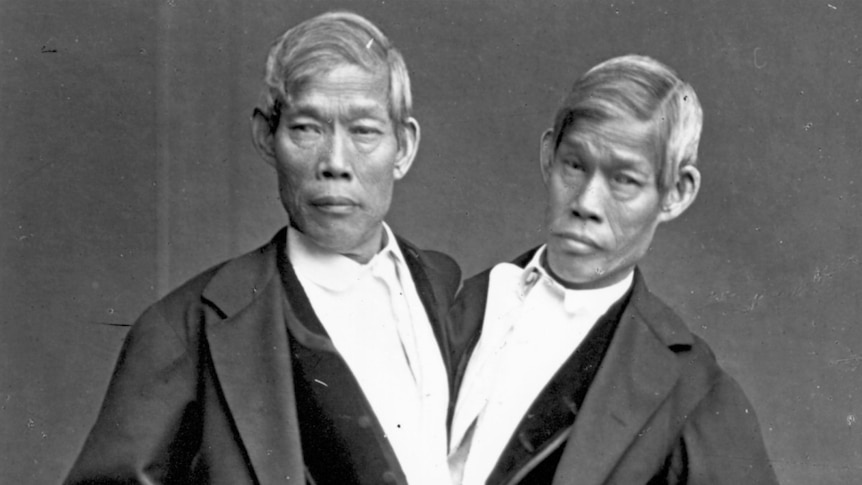 Portrait of Chang and Eng Bunker.