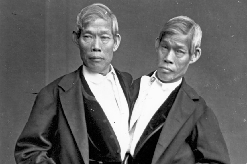 Portrait of Chang and Eng Bunker.