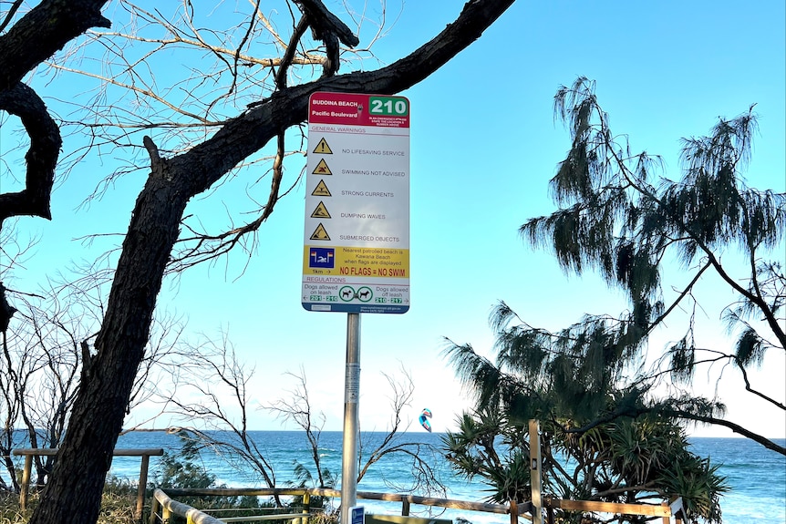 A picture of a beach access sign in front of some trees and the beach