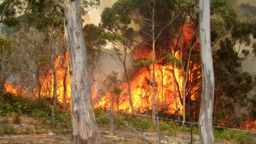 The Tasmania Fire Service backburned to protect properties near snug on the weekend
