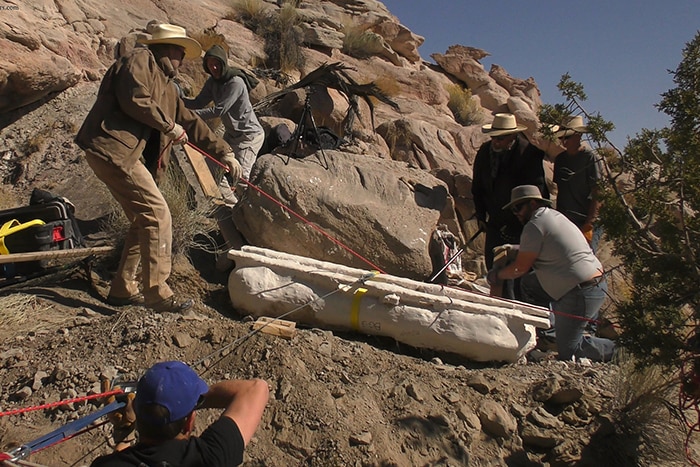 Wrangling a giant dinosaur arm bone out of gully in Utah