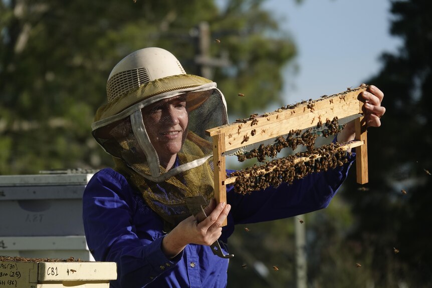 women working on beehive
