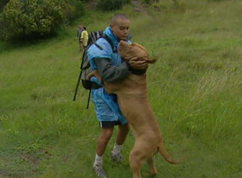 Lucky rescue for Queensland dog - ABC News