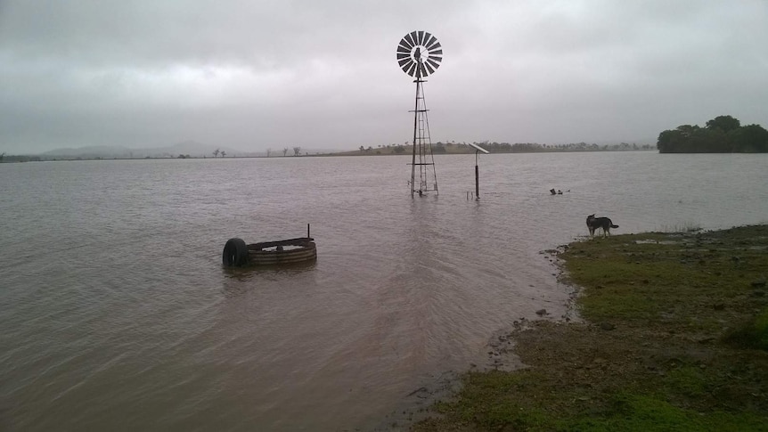 The Gracemere Lagoon overflowing near Rockhampton in central Queensland.