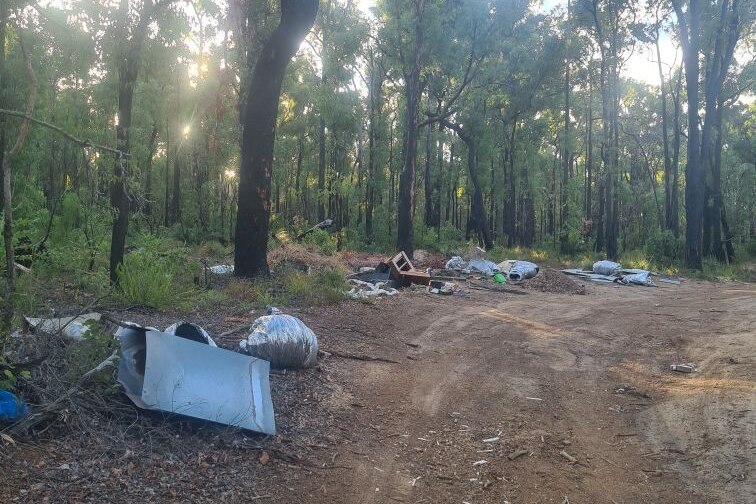 a gravel road through trees with rubbish strewn along the roadside